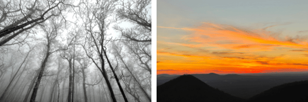 Brownieland Pictures January 2022 Newsletter