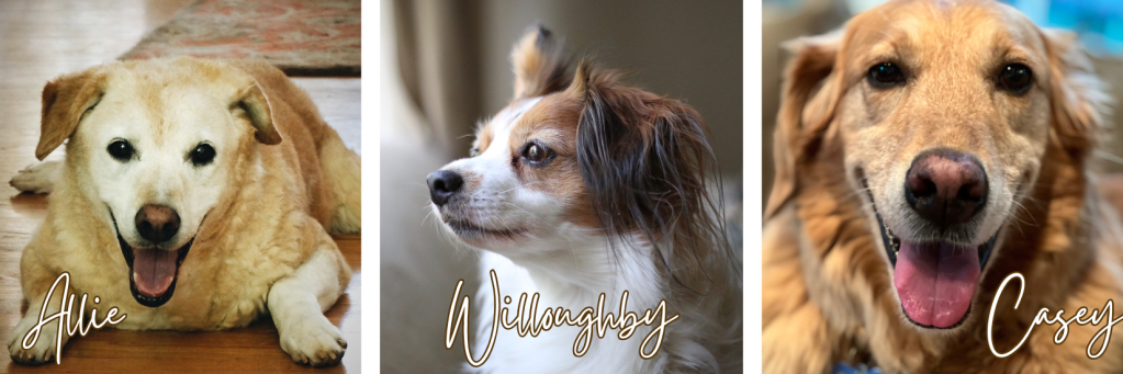 May Editor’s Note from Robyn Kranz: In honor of National Pet Month and National Rescue Dog Day